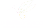 Jardín Botánico