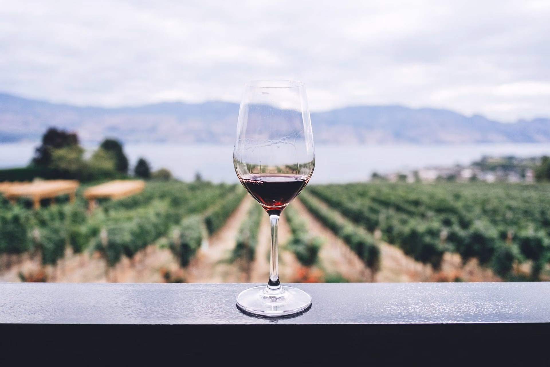Cata de vinos durante la estancia en Cerocahui, Chihuahua.