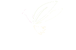 Jardín Botánico Jardín Botánico